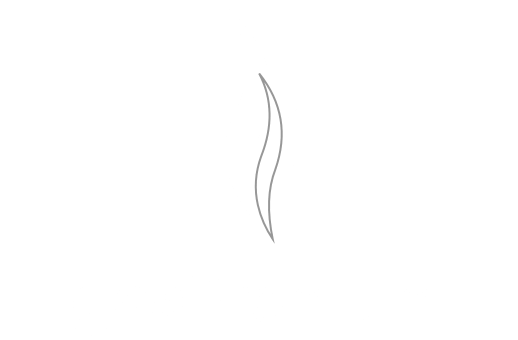 Logo gas premium